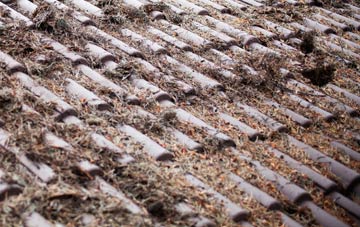 Talaton roof cleaning companies